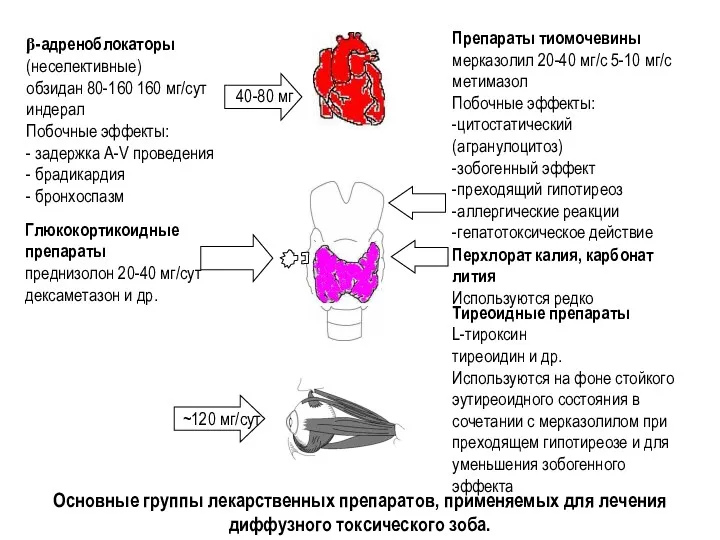 Основные группы лекарственных препаратов, применяемых для лечения диффузного токсического зоба.