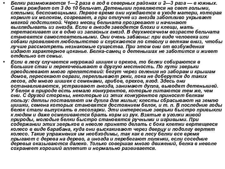 Белки размножаются 1—2 раза в год в северных районах и