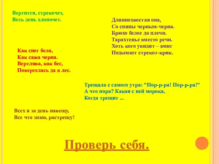 Вертится, стрекочет, Весь день хлопочет. Длиннохвостая она, Со спины черным-черна.