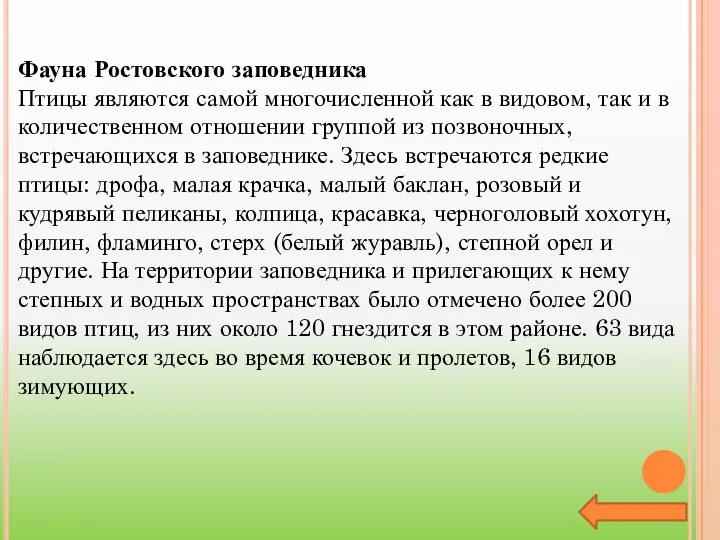 Фауна Ростовского заповедника Птицы являются самой многочисленной как в видовом,