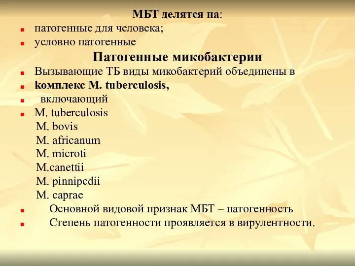 МБТ делятся на: патогенные для человека; условно патогенные Патогенные микобактерии