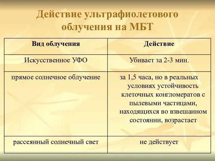 Действие ультрафиолетового облучения на МБТ