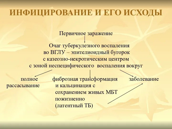 ИНФИЦИРОВАНИЕ И ЕГО ИСХОДЫ Первичное заражение Очаг туберкулезного воспаления во