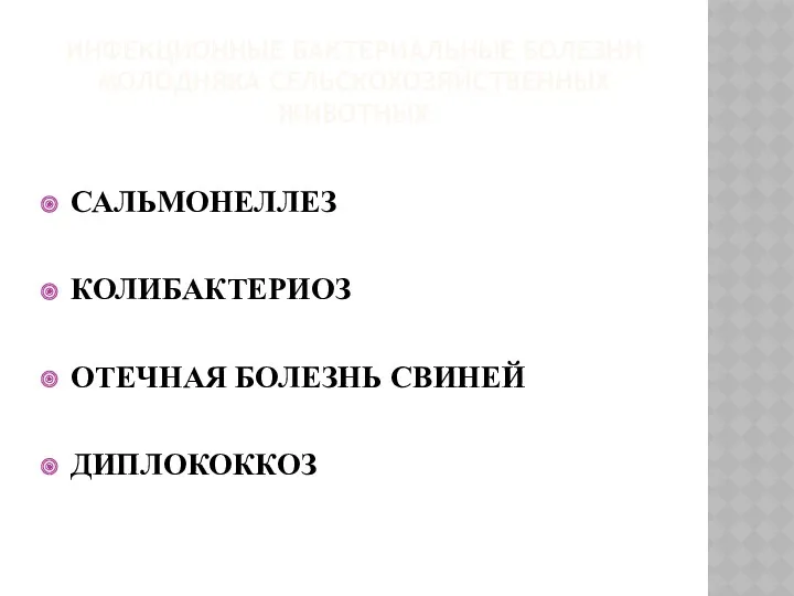 ИНФЕКЦИОННЫЕ БАКТЕРИАЛЬНЫЕ БОЛЕЗНИ МОЛОДНЯКА СЕЛЬСКОХОЗЯЙСТВЕННЫХ ЖИВОТНЫХ САЛЬМОНЕЛЛЕЗ КОЛИБАКТЕРИОЗ ОТЕЧНАЯ БОЛЕЗНЬ СВИНЕЙ ДИПЛОКОККОЗ