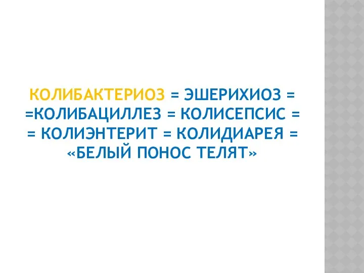 КОЛИБАКТЕРИОЗ = ЭШЕРИХИОЗ = =КОЛИБАЦИЛЛЕЗ = КОЛИСЕПСИС = = КОЛИЭНТЕРИТ = КОЛИДИАРЕЯ = «БЕЛЫЙ ПОНОС ТЕЛЯТ»