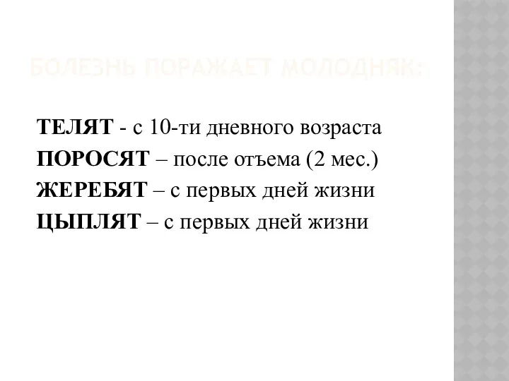 БОЛЕЗНЬ ПОРАЖАЕТ МОЛОДНЯК: ТЕЛЯТ - с 10-ти дневного возраста ПОРОСЯТ