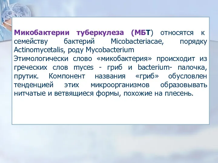 Микобактерии туберкулеза (МБТ) относятся к семейству бактерий Micobacteriacae, порядку Actinomycetalis,