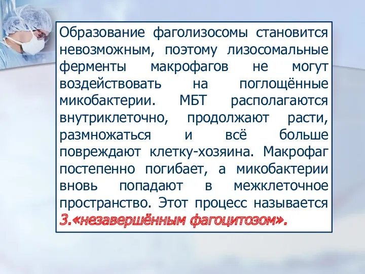 Образование фаголизосомы становится невозможным, поэтому лизосомальные ферменты макрофагов не могут