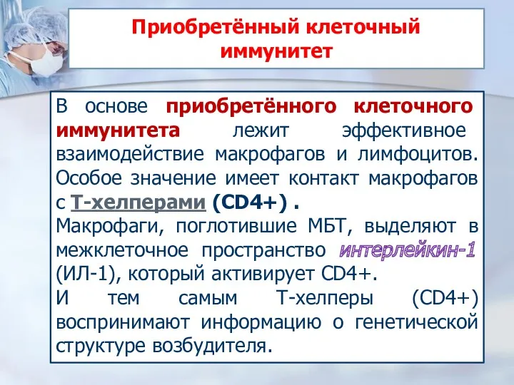 В основе приобретённого клеточного иммунитета лежит эффективное взаимодействие макрофагов и