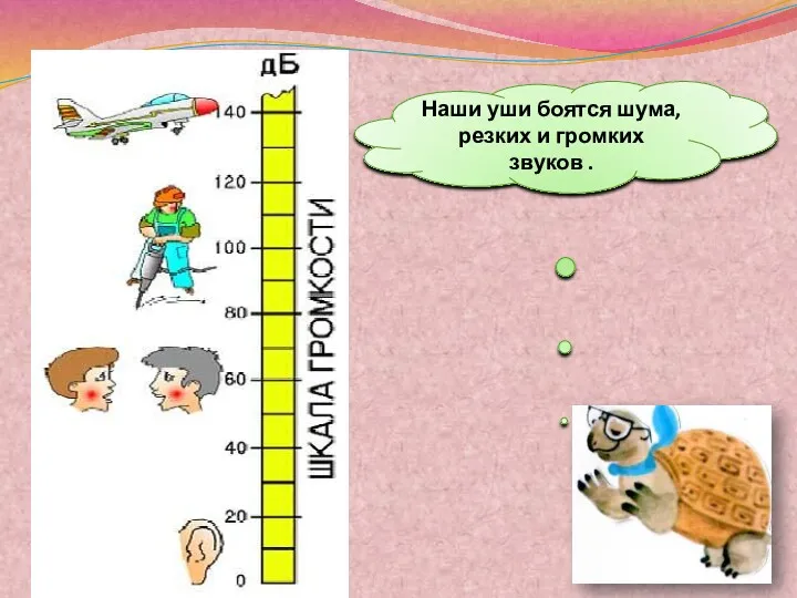 Наши уши боятся шума, резких и громких звуков .