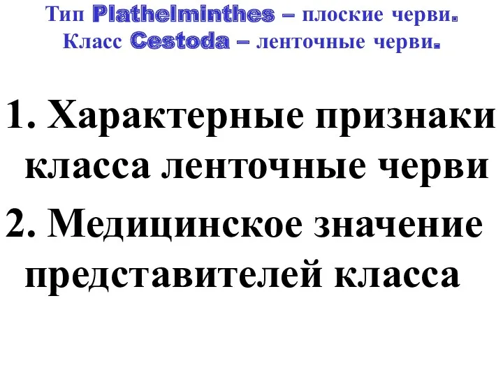 Тип Plathelminthes – плоские черви. Класс Cestoda – ленточные черви.