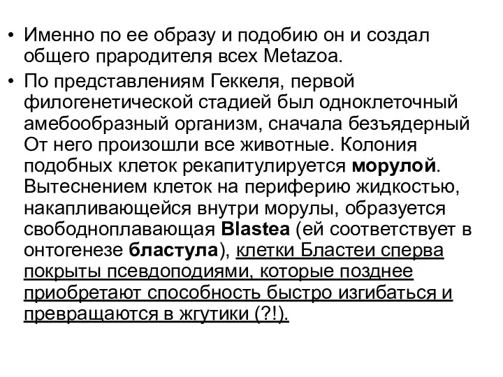 Именно по ее образу и подобию он и создал общего