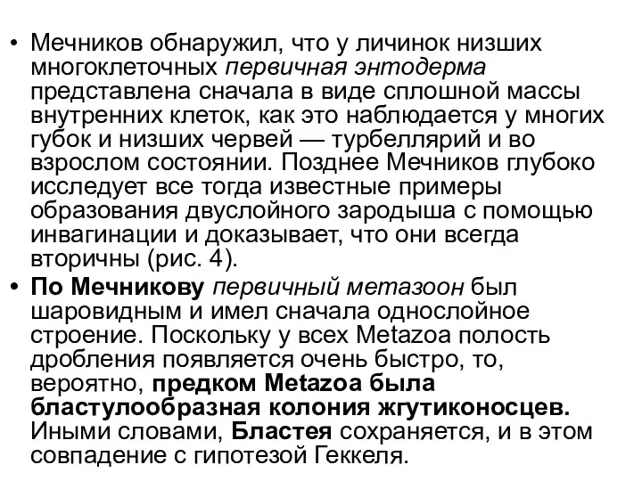 Мечников обнаружил, что у личинок низших многоклеточных первичная энтодерма представлена