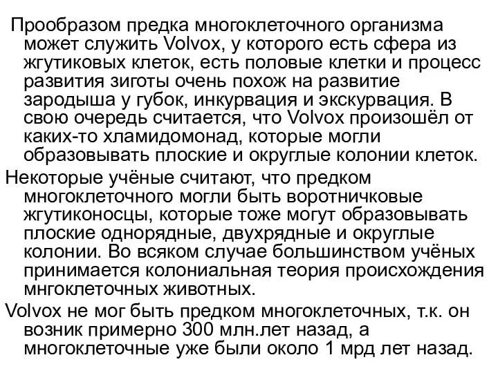 Прообразом предка многоклеточного организма может служить Volvox, у которого есть