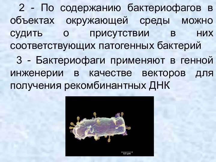 2 - По содержанию бактериофагов в объектах окружающей среды можно