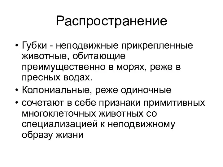 Распространение Губки - неподвижные прикрепленные животные, обитающие преимущественно в морях,