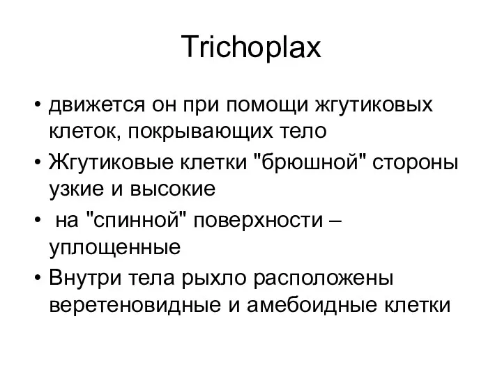 Trichoplax движется он при помощи жгутиковых клеток, покрывающих тело Жгутиковые