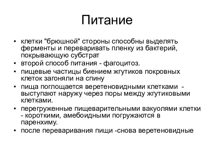 Питание клетки "брюшной" стороны способны выделять ферменты и переваривать пленку