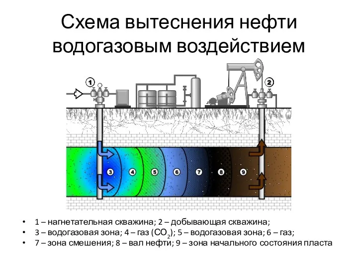 Схема вытеснения нефти водогазовым воздействием 1 – нагнетательная скважина; 2 – добывающая скважина;