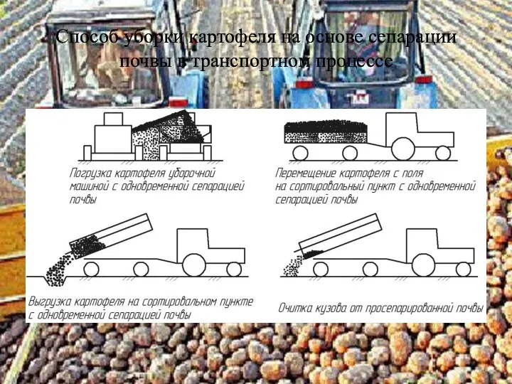 Способ уборки картофеля на основе сепарации почвы в транспортном процессе
