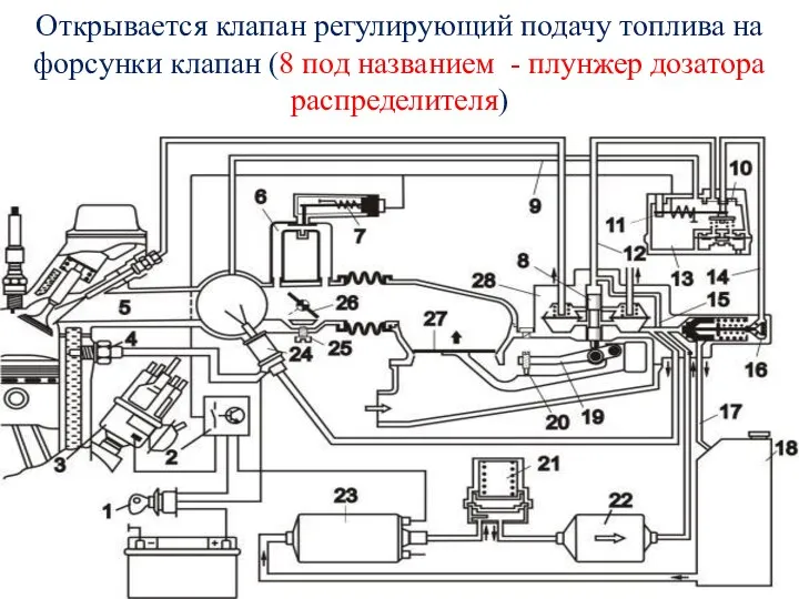 Открывается клапан регулирующий подачу топлива на форсунки клапан (8 под названием - плунжер дозатора распределителя)