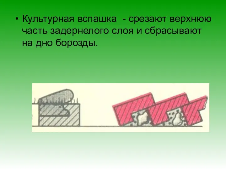 Культурная вспашка - срезают верхнюю часть задернелого слоя и сбрасывают на дно борозды.