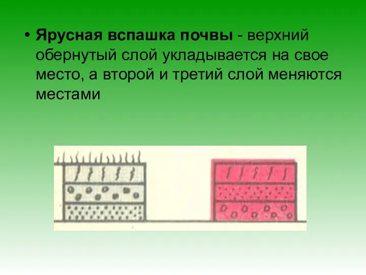 Ярусная вспашка почвы - верхний обернутый слой укладывается на свое