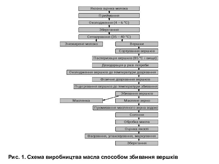 Рис. 1. Схема виробництва масла способом збивання вершків