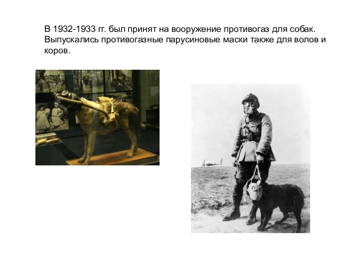 В 1932-1933 гг. был принят на вооружение противогаз для собак.