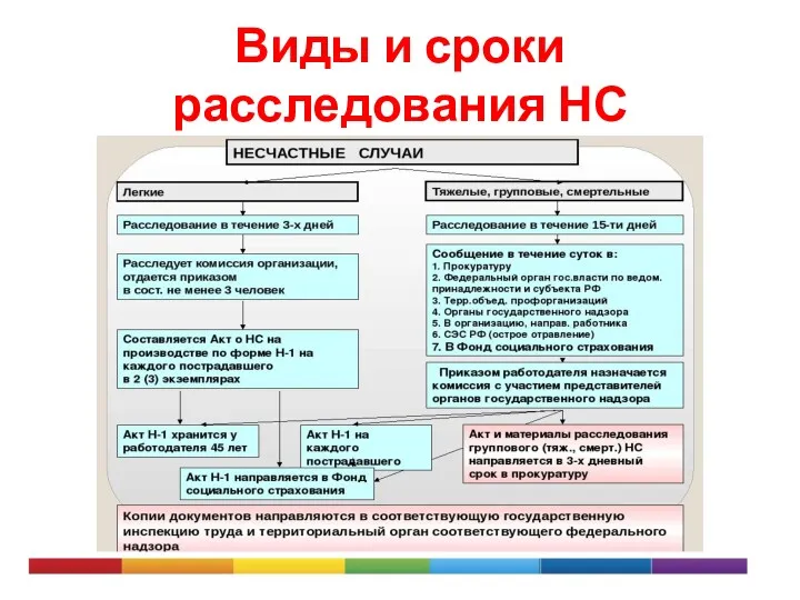 Виды и сроки расследования НС