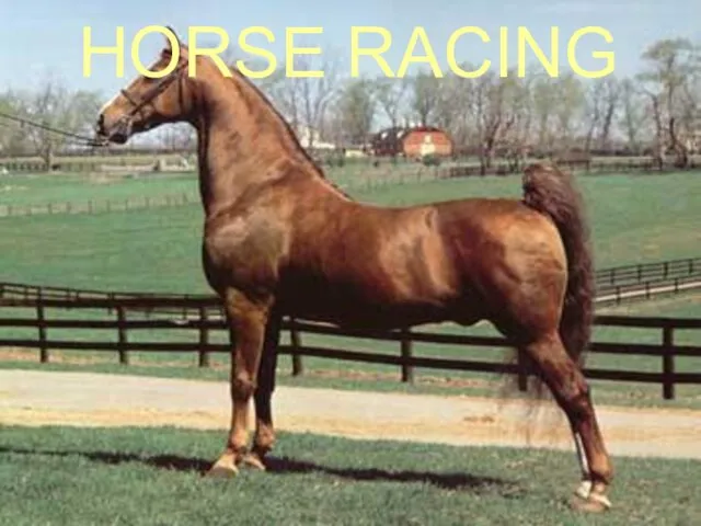 HORSE RACING