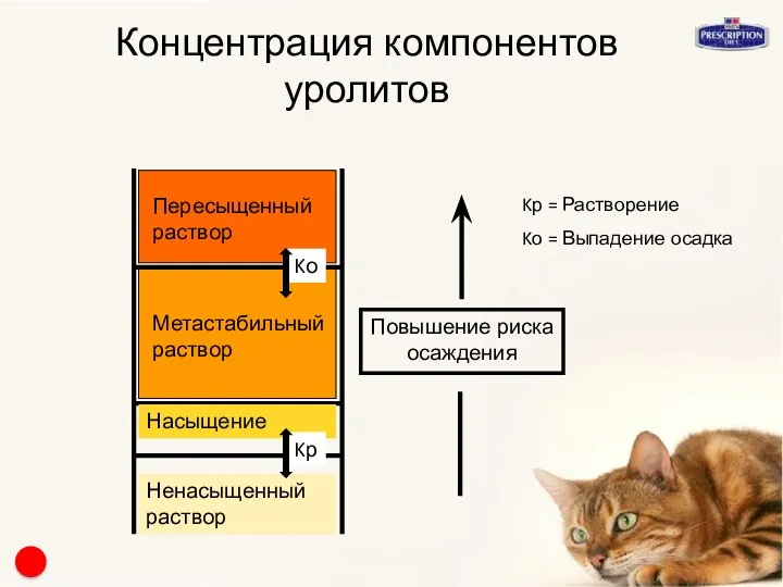 Пересыщенный раствор Kо Метастабильный раствор Насыщение Ненасыщенный раствор Концентрация компонентов