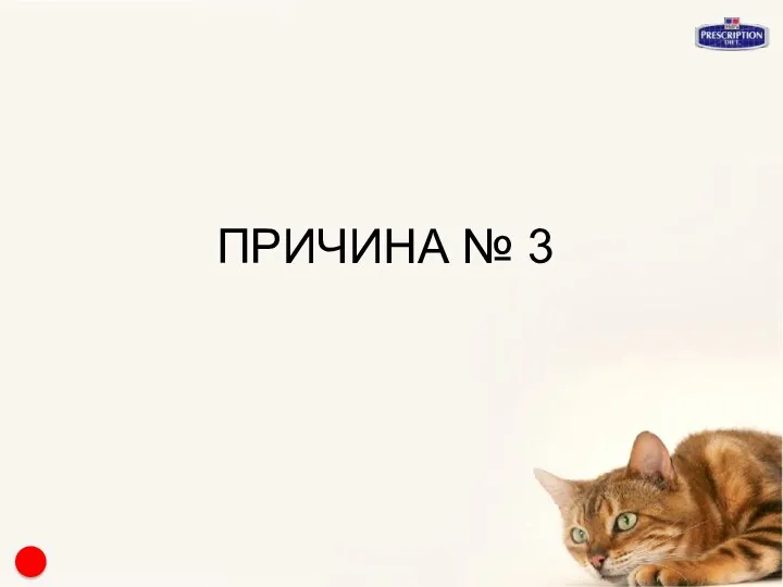 ПРИЧИНА № 3