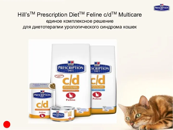 Hill’sTM Prescription DietTM Feline c/dTM Multicare единое комплексное решение для диетотерапии урологического синдрома кошек