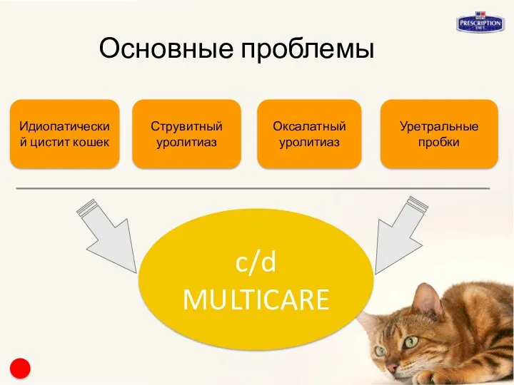 Основные проблемы c/d MULTICARE Оксалатный уролитиаз Струвитный уролитиаз Уретральные пробки Идиопатический цистит кошек