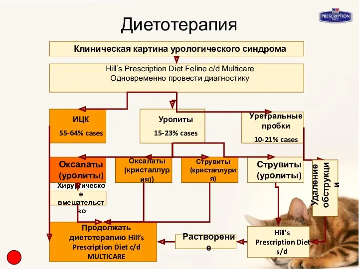 Диетотерапия Клиническая картина урологического синдрома Hill’s Prescription Diet Feline c/d