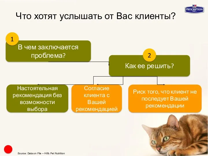 Что хотят услышать от Вас клиенты? В чем заключается проблема?