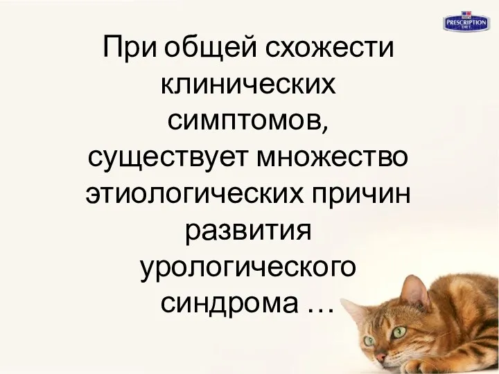 При общей схожести клинических симптомов, существует множество этиологических причин развития урологического синдрома …