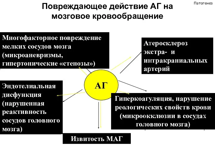 Повреждающее действие АГ на мозговое кровообращение АГ Атеросклероз экстра- и