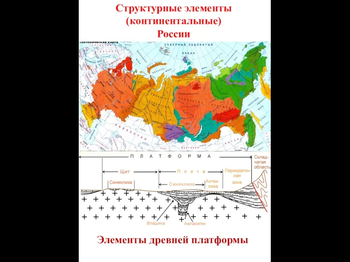 Структурные элементы (континентальные) России Элементы древней платформы