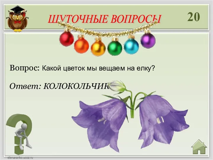 20 Ответ: КОЛОКОЛЬЧИК Вопрос: Какой цветок мы вещаем на елку? ШУТОЧНЫЕ ВОПРОСЫ