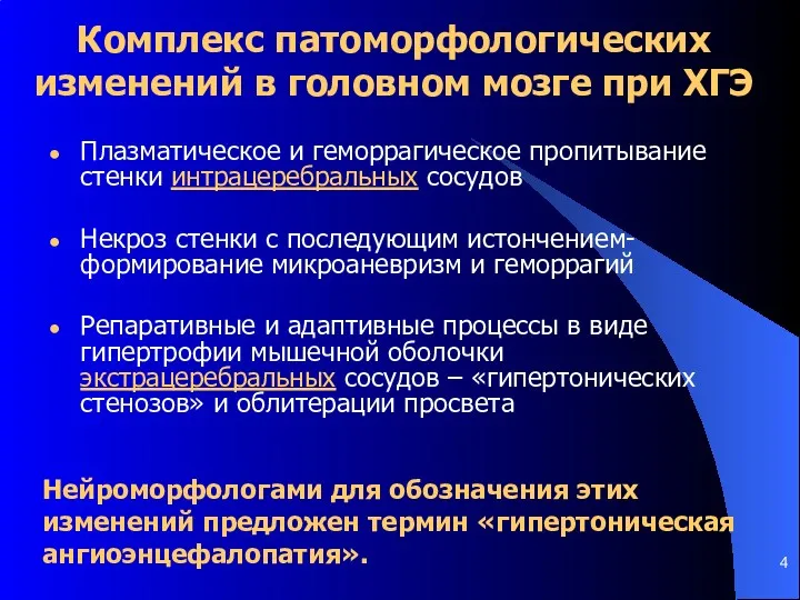 Комплекс патоморфологических изменений в головном мозге при ХГЭ Плазматическое и