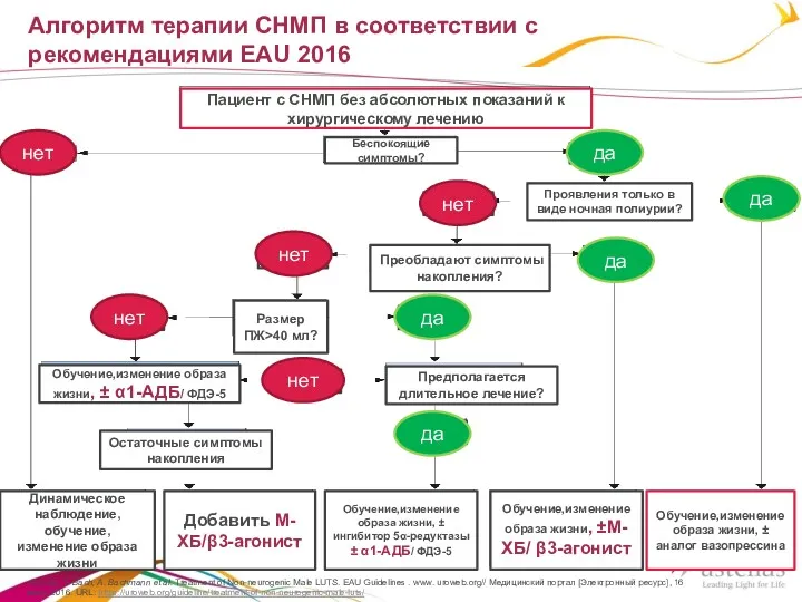 Алгоритм терапии СНМП в соответствии с рекомендациями EAU 2016 Пациент