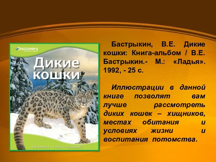Бастрыкин, В.Е. Дикие кошки: Книга-альбом / В.Е. Бастрыкин.- М.: «Ладья».