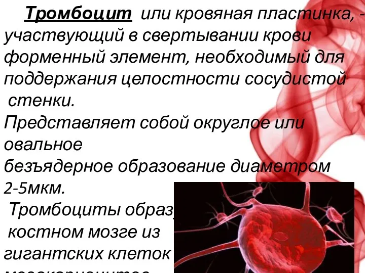 ё Тромбоцит или кровяная пластинка, - участвующий в свертывании крови