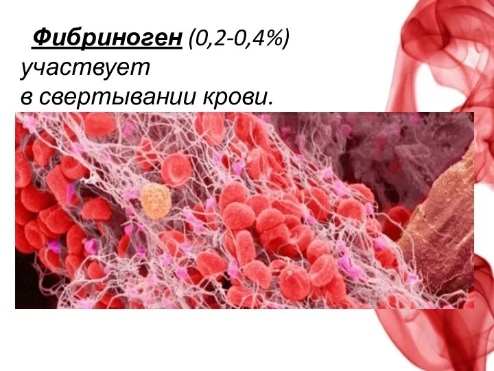 Фибриноген (0,2-0,4%) участвует в свертывании крови.