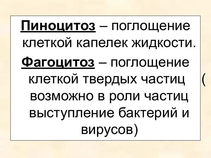 Пиноцитоз – поглощение клеткой капелек жидкости. Фагоцитоз – поглощение клеткой