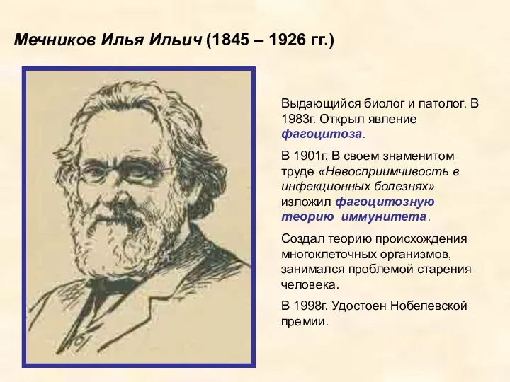 Мечников Илья Ильич (1845 – 1926 гг.) Выдающийся биолог и