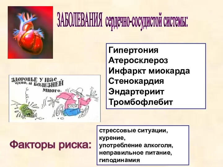 ЗАБОЛЕВАНИЯ сердечно-сосудистой системы: Гипертония Атеросклероз Инфаркт миокарда Стенокардия Эндартериит Тромбофлебит