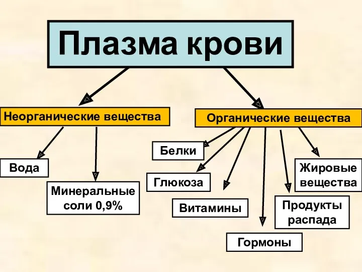 Неорганические вещества Органические вещества Вода Минеральные соли 0,9% Белки Глюкоза